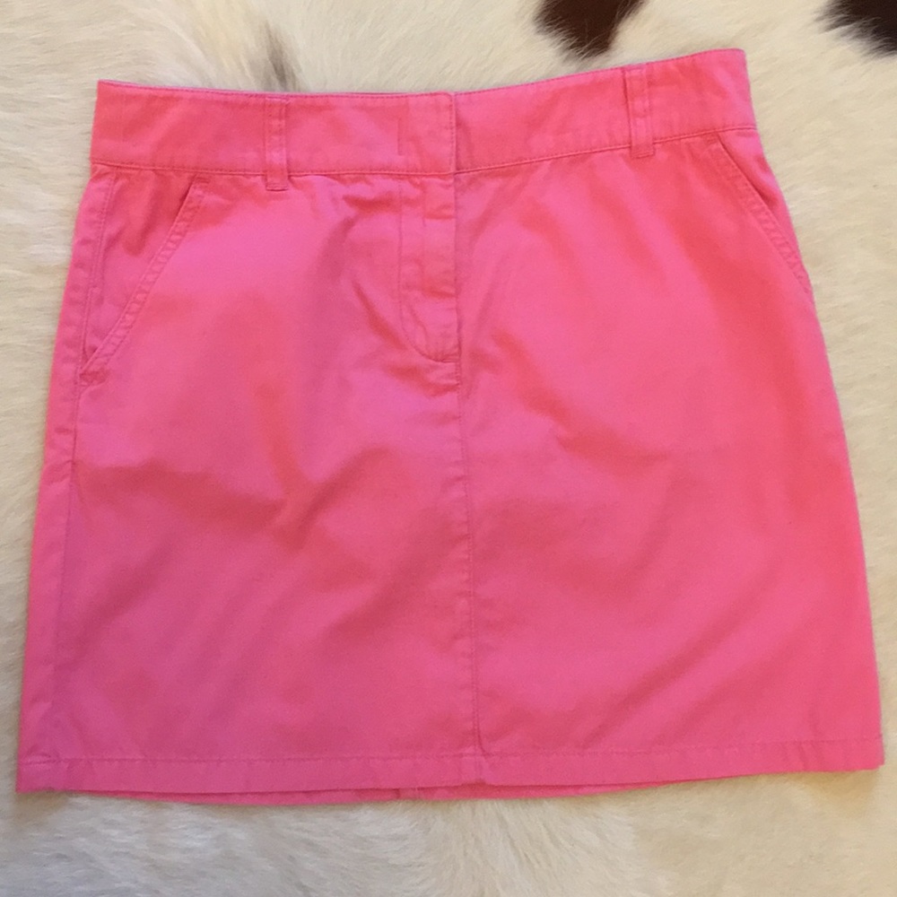 J. Crew Skirt